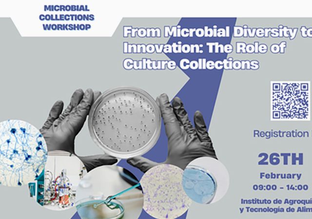 IATA-CSIC y MIRRI-SE organizan un workshop internacional sobre colecciones microbianas e innovación biotecnológica